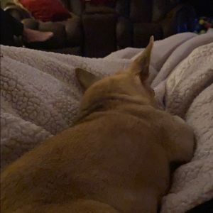 Meet your Posher, Jaydyn